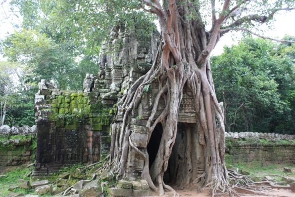 Taken in October of 2012 at Angkor.